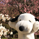 jupitersnutsack avatar