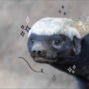 just-a-honey-badger avatar