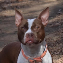 just-a-human13 avatar