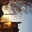 just-a-kitty-cat avatar