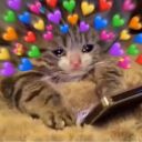 just-a-lil-froggo avatar