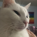 just-a-part-i-portray avatar