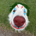 just-a-pieceof-toast avatar