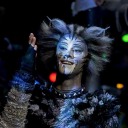 just-a-pollicle avatar