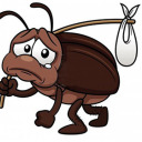 just-a-sad-roach avatar