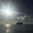 just-a-wannabe-mermaid avatar