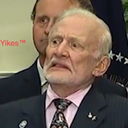 just-a-zombie-killing-ninja avatar