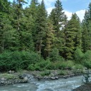 just-an-alchemist-babe avatar