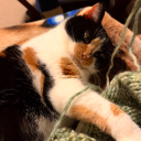 just-another-left-handed-knitter avatar