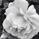 just-another-random-book-blogger avatar