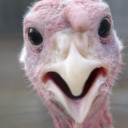 just-another-turkey avatar