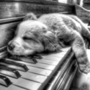 just-anotherrr-nerd avatar