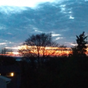 just-bored-48 avatar