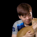 just-effect-and-a-cat avatar