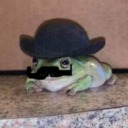 just-froggy-thoughts avatar