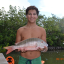 just-fuck-em-blog avatar