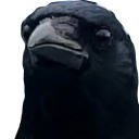 just-here-for-the-doomscrolling avatar