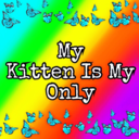 just-kittens-bigdaddy-blog avatar