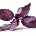 just-life-by-me avatar