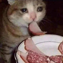 just-queer-unc-ramblings avatar