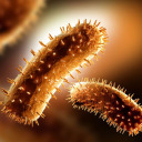 just-rabid-thoughts avatar