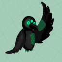 just-some-random-crows avatar