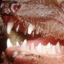 just-wanna-go-away avatar