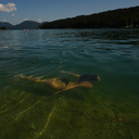 just-waveafterwave avatar