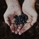 justafewberries avatar