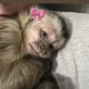 justalittlem0re avatar