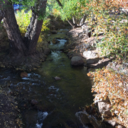 justalittlewiccan avatar