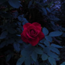 justamasskinnie avatar