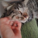 justameremaid avatar