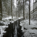 justanobserver-v avatar