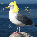 justanormalseagull avatar