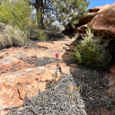 justanotherdiaperedguy avatar