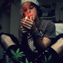 justanotherfadeddream avatar