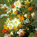 justanotherfreebird avatar