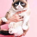 justanothergrumpycat avatar