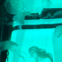 justanothermutantkid avatar