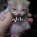 justanotherr4t avatar