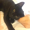 justanotherwriter avatar