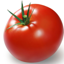 justarandomtomato avatar