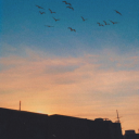 justathoughts-stuff avatar