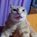 justatrashcan21 avatar