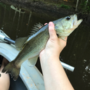 justbeingme099 avatar