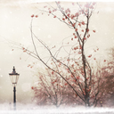 justbelieveallah avatar