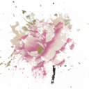 justcoisasaleatorias avatar