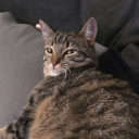 justforfun0908 avatar