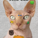 justgoodolemamoryglands avatar